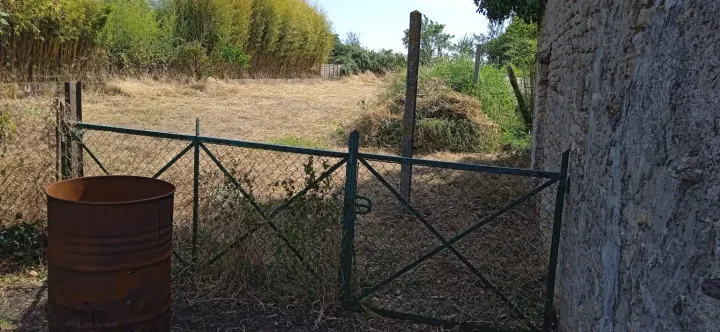 Même terrain rouvert après débroussaillage