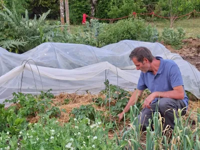 Christophe travaille dans un potager paillé et vivant