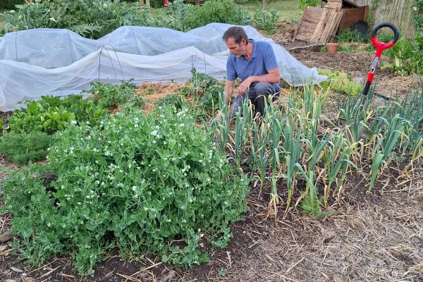 Christophe au travail dans un potager paillé sur sol vivant