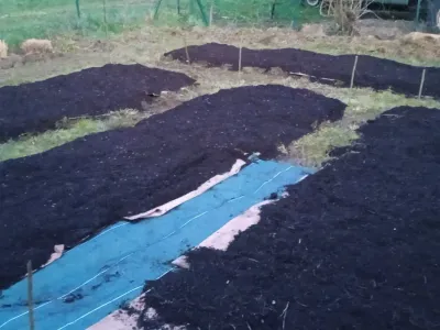 Premières planches de culture préparées pour le potager