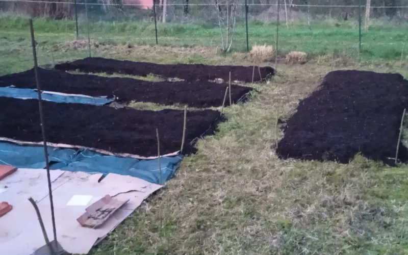 Terrain de potager vierge avant travaux, avec espace à organiser