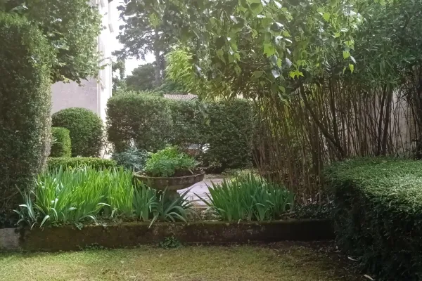 Terrasse avec bambou après intervention, espace plus net et végétation maîtrisée