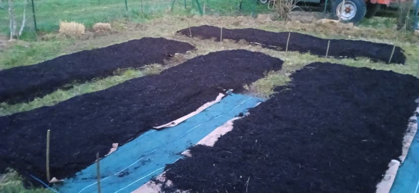 Premières planches de culture préparées pour le potager