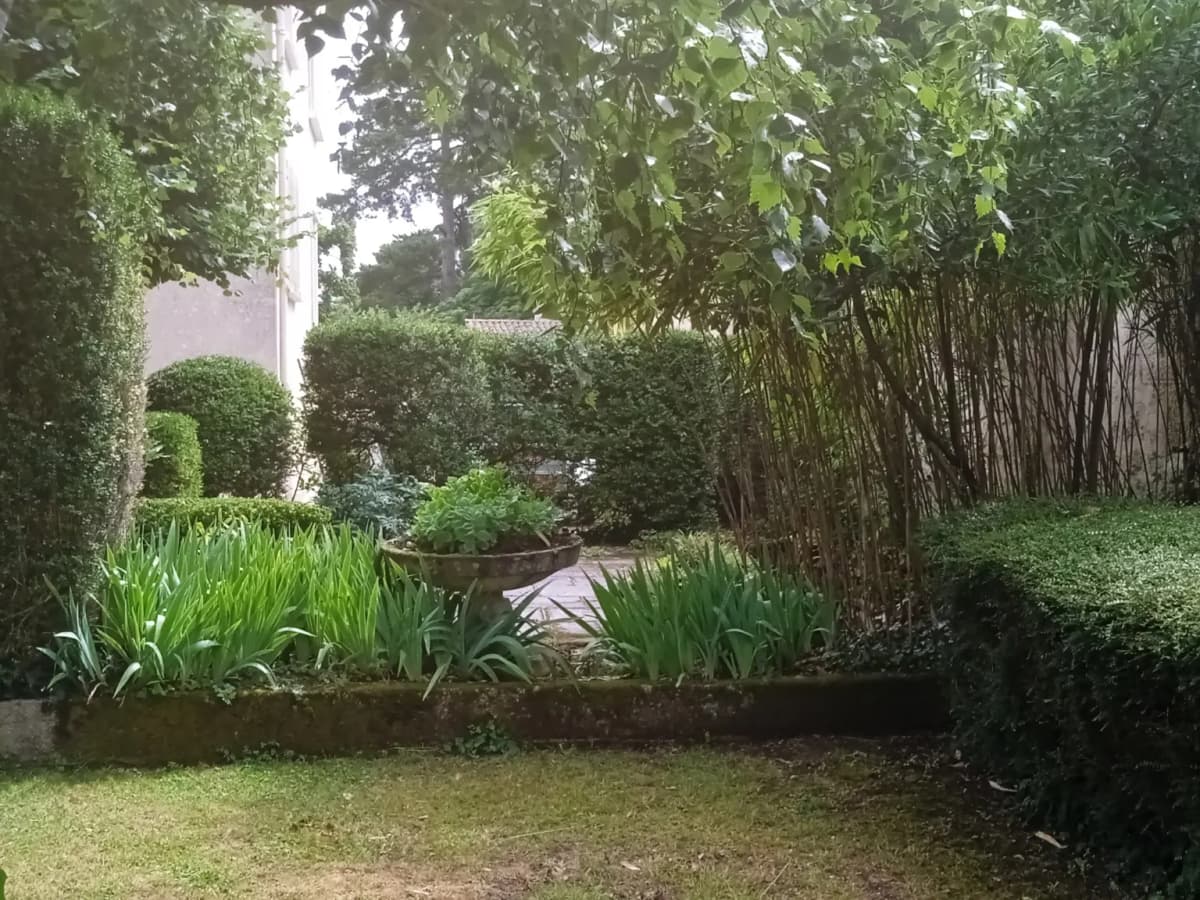 Terrasse avec bambou après intervention, espace plus net et végétation maîtrisée